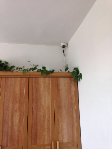 保定热电厂小区室内楼道口监控